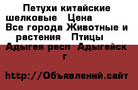 Петухи китайские шелковые › Цена ­ 1 000 - Все города Животные и растения » Птицы   . Адыгея респ.,Адыгейск г.